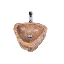 Fossil Wood SMALL SALAWATI...