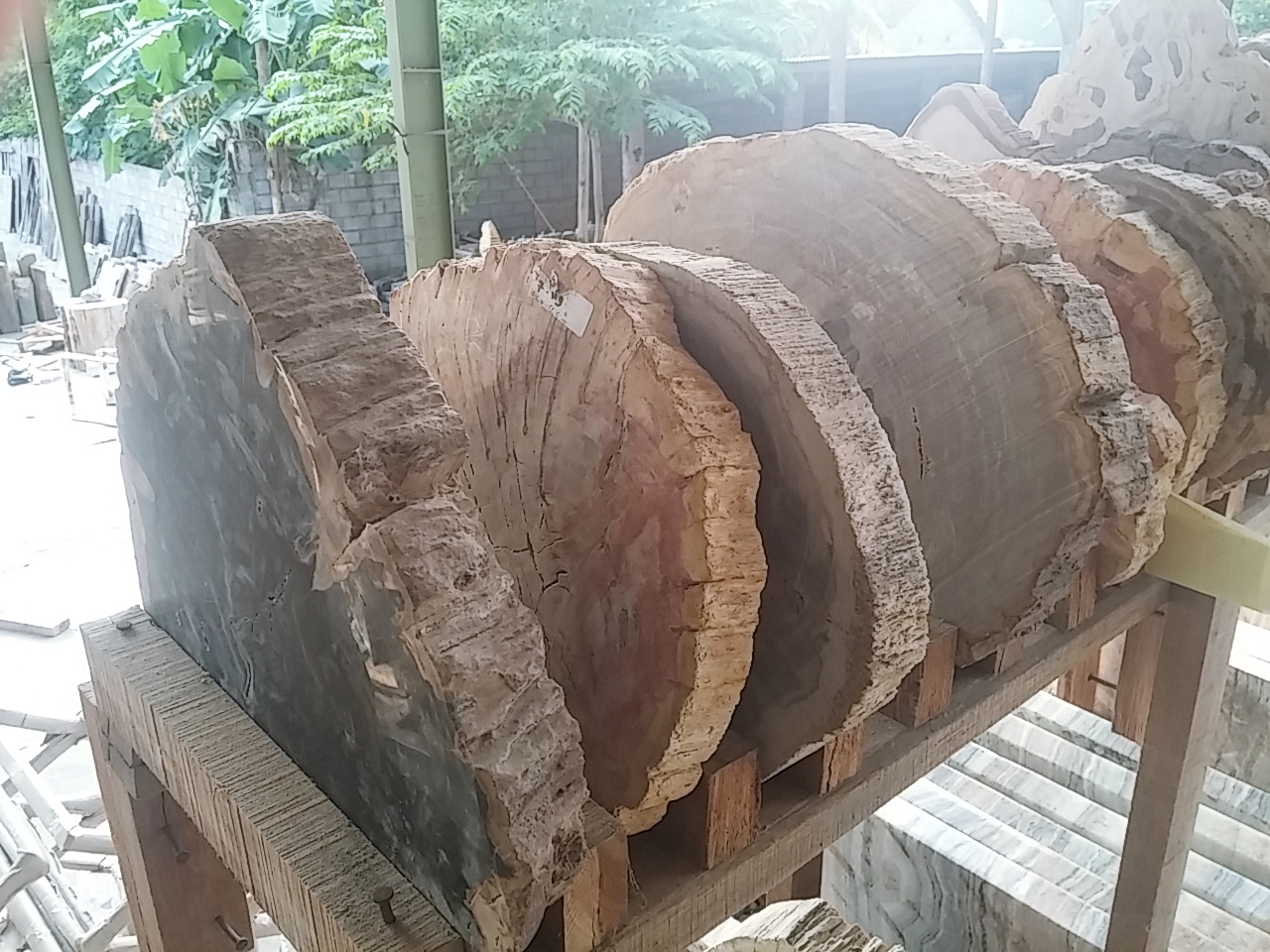 przygotowane plastry skamieniałego drewna InduStone